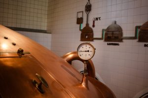 Photo fermentation