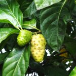 Owoce egzotyczne: tajemnicze właściwości