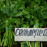 Znaczenie błonnika pokarmowego