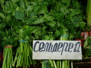 Znaczenie błonnika pokarmowego